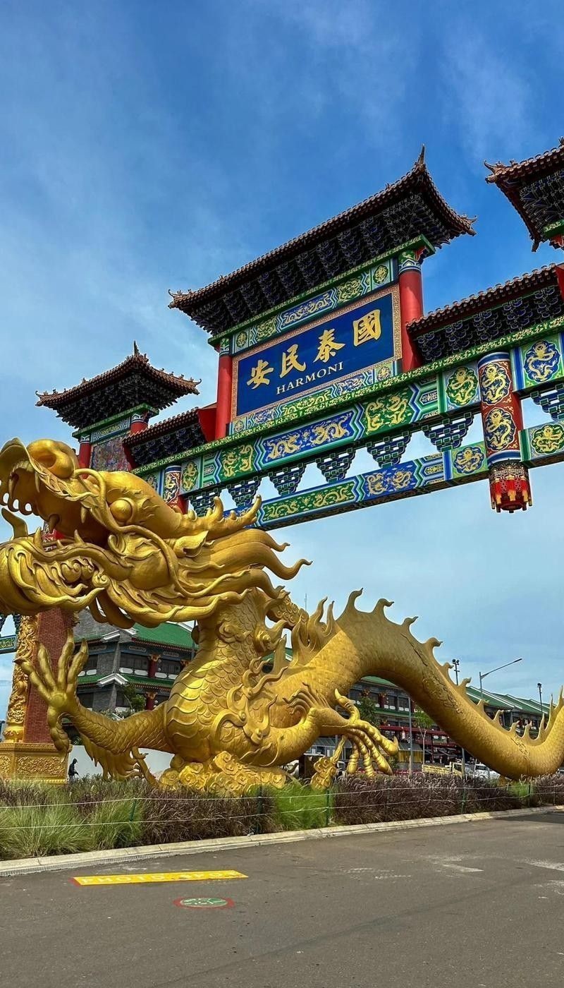 龍魚什么體型好看圖片欣賞