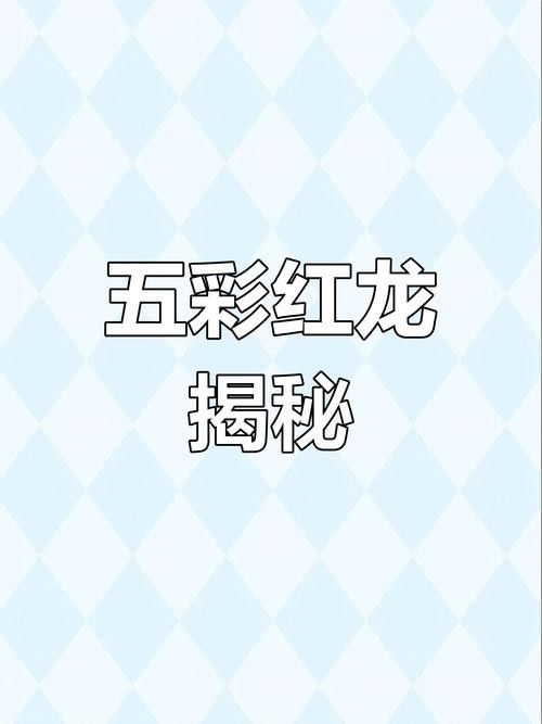 龍魚什么體型好看圖片欣賞