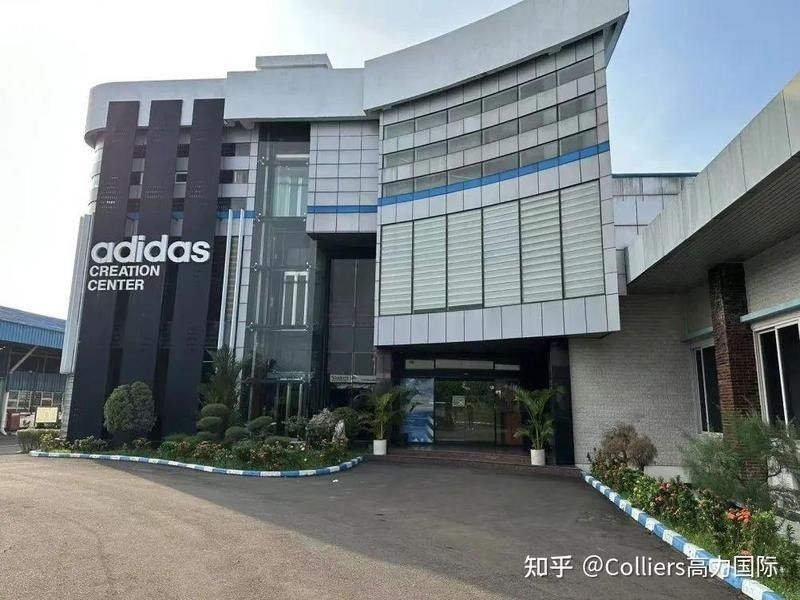 龍魚什么體型好看圖片欣賞