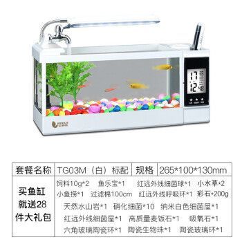 金利佳（Jeneca）魚缸，金利佳魚缸生態造景指南