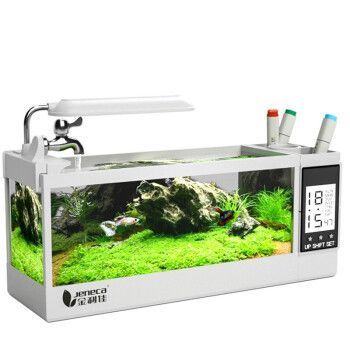 金利佳（Jeneca）魚缸，金利佳魚缸生態造景指南