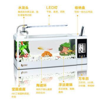 金利佳（Jeneca）魚缸，金利佳魚缸生態造景指南