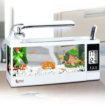 金利佳（Jeneca）魚缸，金利佳魚缸生態造景指南