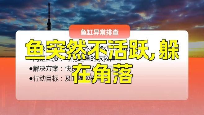 龍魚(yú)在角落里不動(dòng)是什么原因造成的視頻