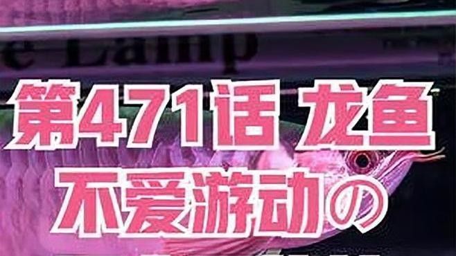龍魚(yú)在角落里不動(dòng)是什么原因造成的視頻
