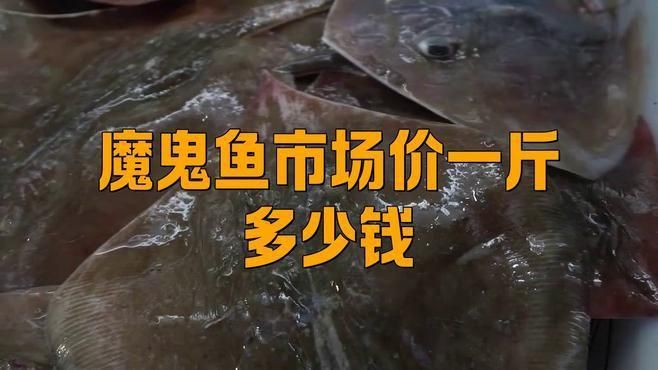 魔鬼魚市場價一斤多少錢