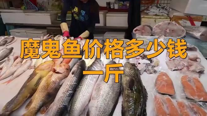 魔鬼魚市場價一斤多少錢