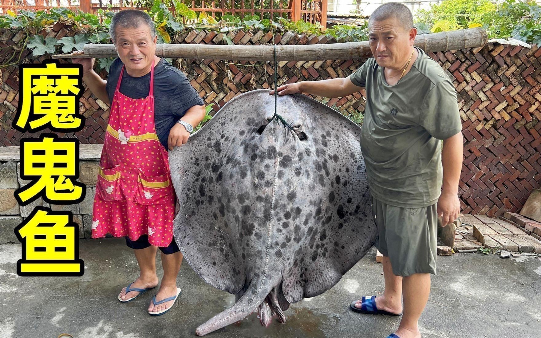 魔鬼魚市場價一斤多少錢