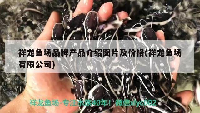 祥龍魚場的產品體系包括哪些？