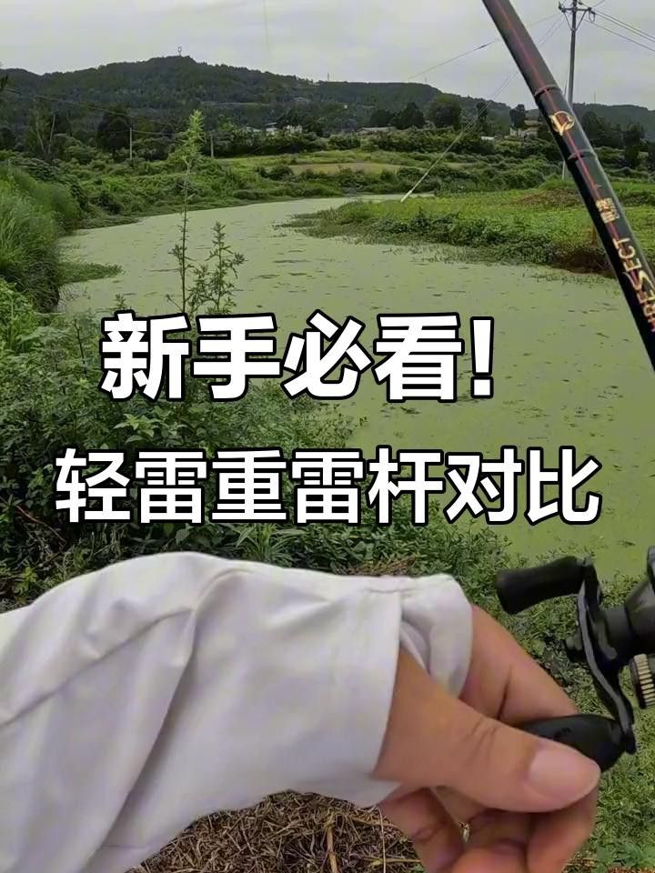 推薦幾款適合抓雷龍魚的釣竿