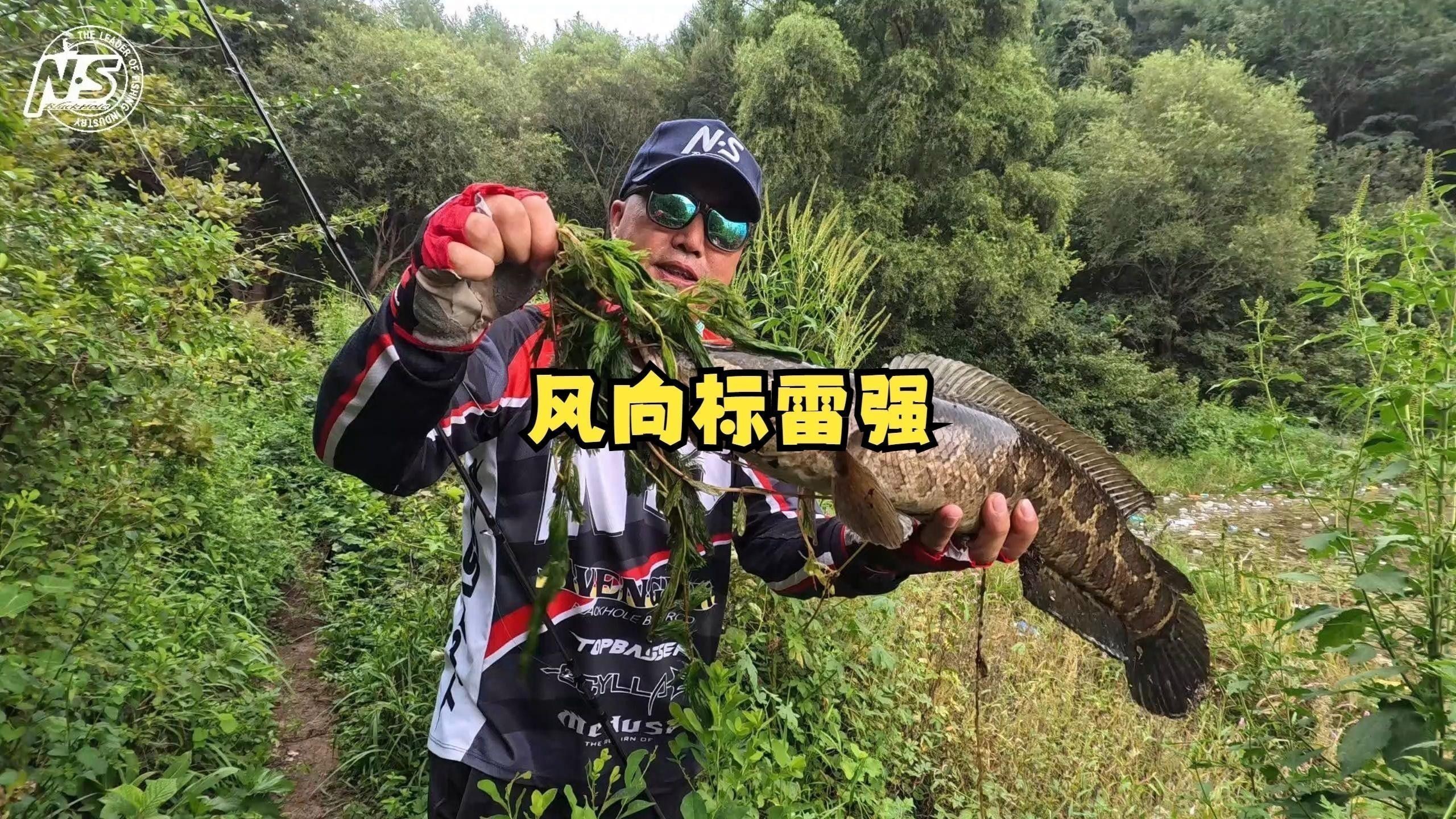 推薦幾款適合抓雷龍魚的釣竿