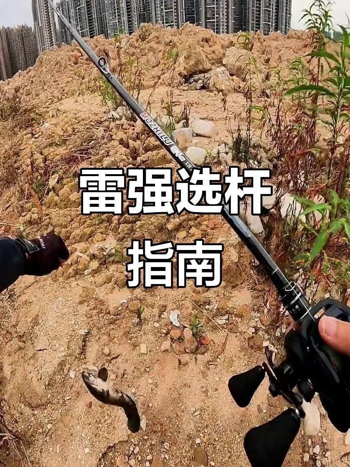推薦幾款適合抓雷龍魚的釣竿