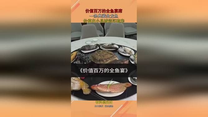 黑色金龍魚價格多少錢一條啊視頻