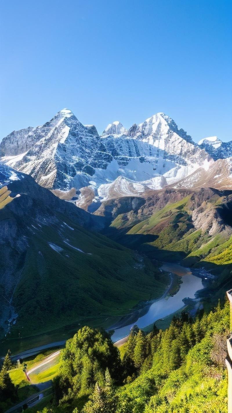 有沒有高清大圖？ 有沒有高清大圖？ 龍魚百科 第18張