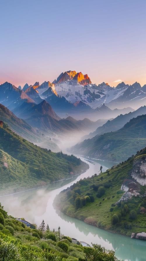 有沒有高清大圖？ 有沒有高清大圖？ 龍魚百科 第19張