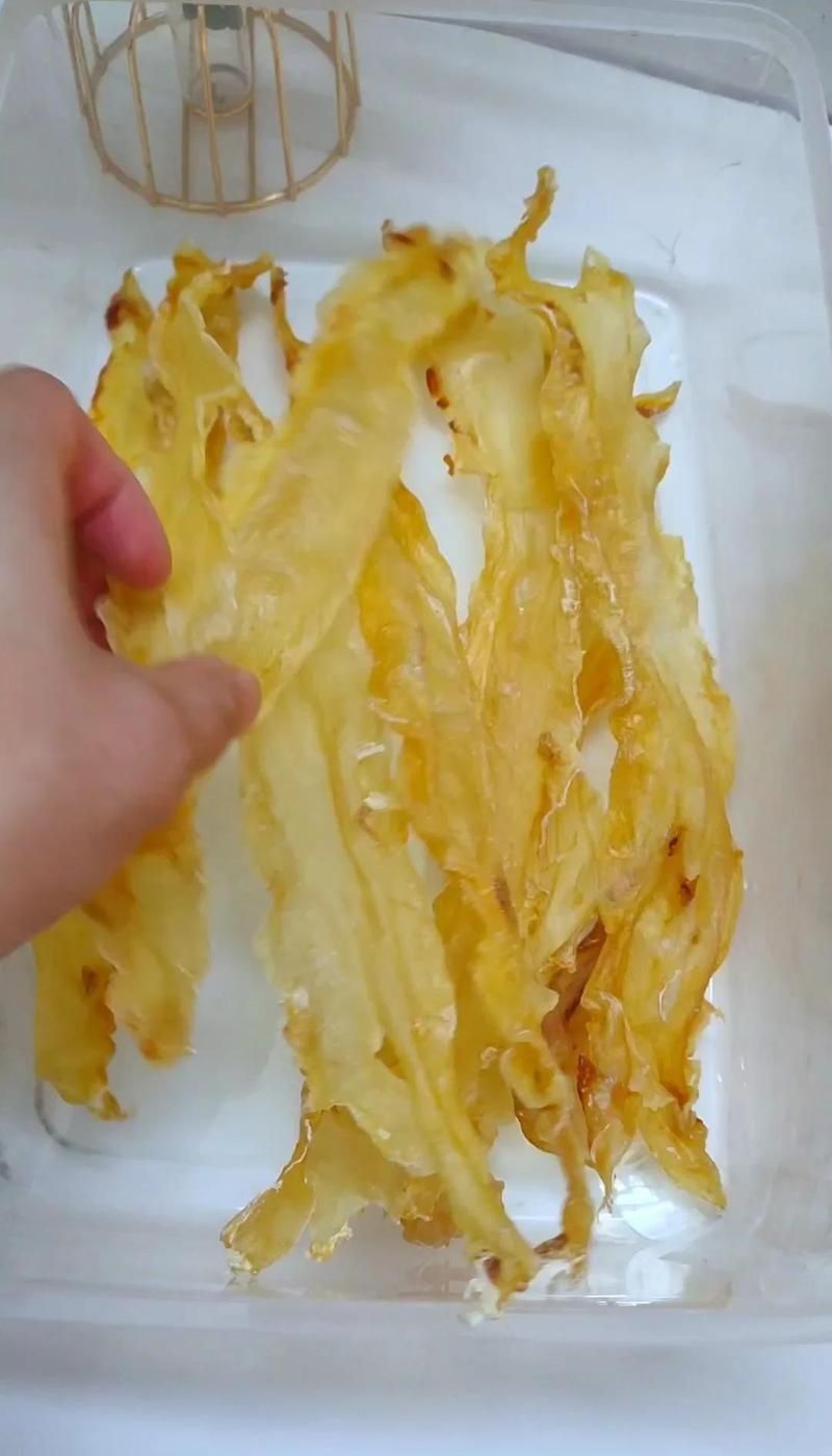 金龍魚珍品