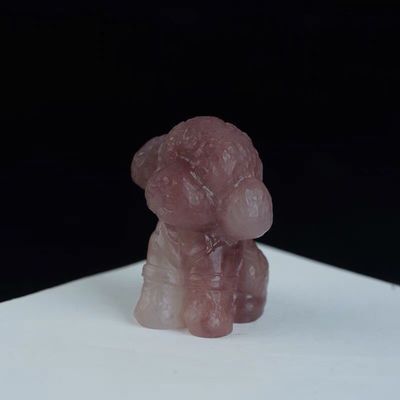 龍魚的種類與鑒別方法：龍魚不吃東西怎么辦