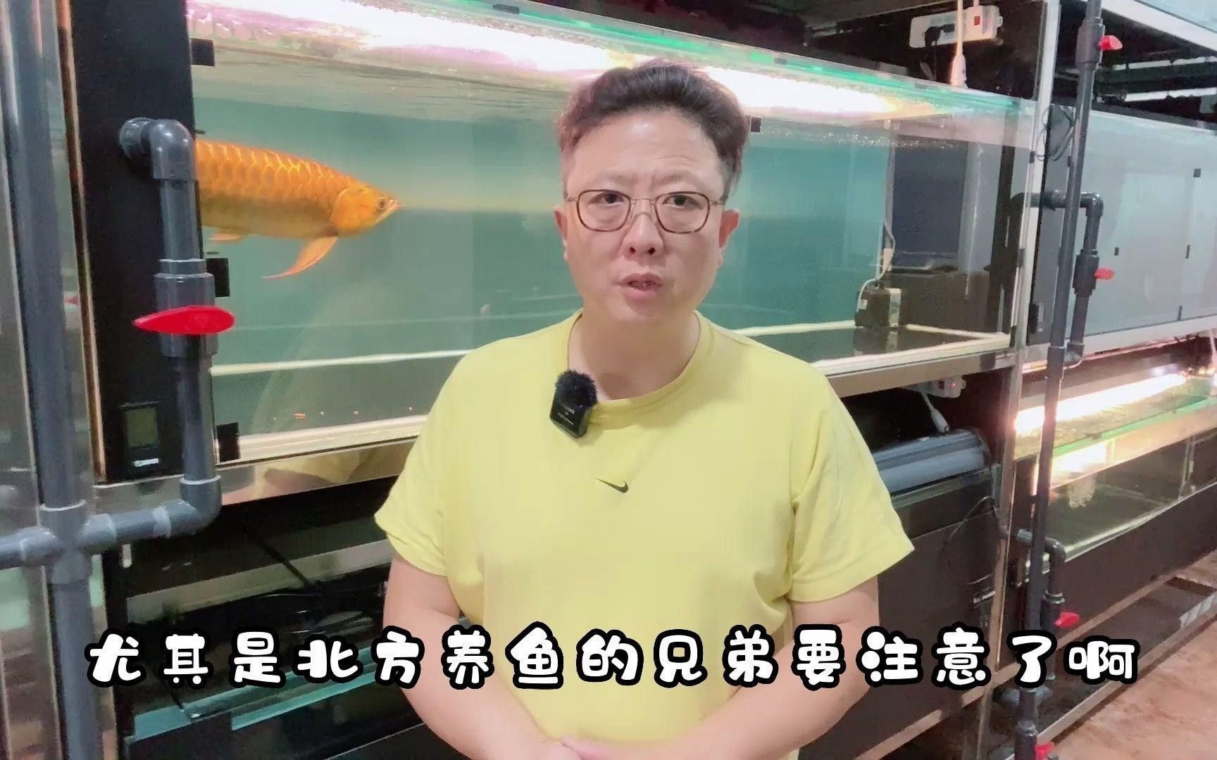 初學者養龍魚需要注意什么？