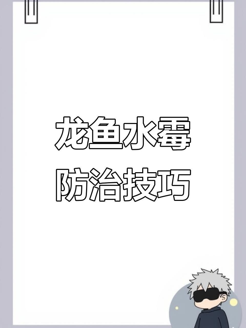 初學者養龍魚需要注意什么？