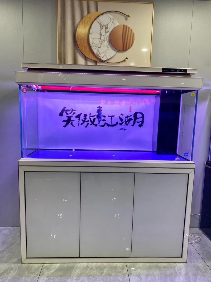 大型龍魚缸效果圖片大全欣賞