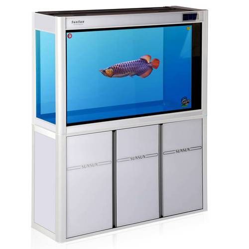 大型龍魚缸效果圖片大全欣賞