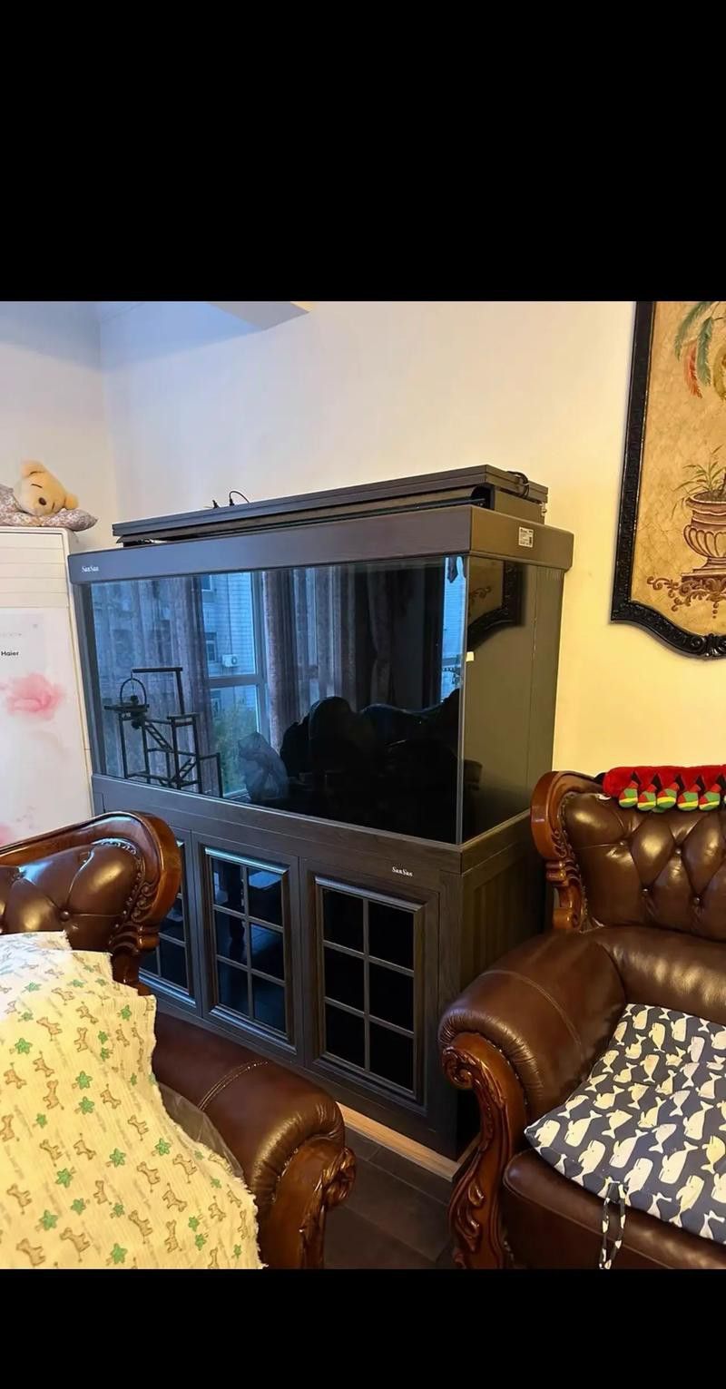 大型龍魚缸效果圖片大全欣賞