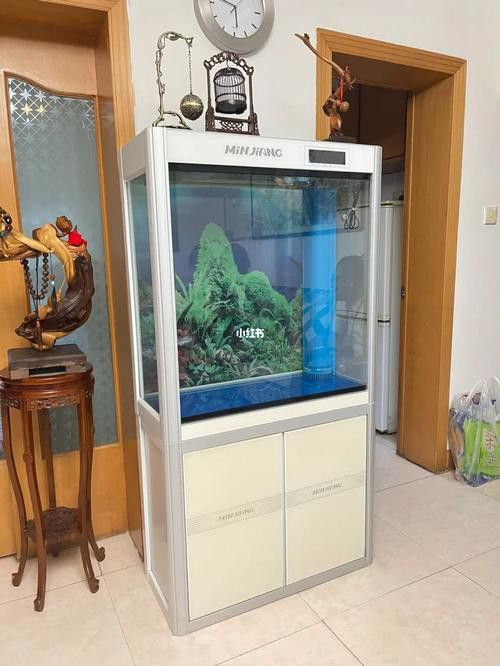 大型龍魚缸效果圖片大全欣賞