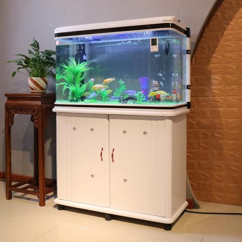 大型龍魚缸效果圖片大全欣賞