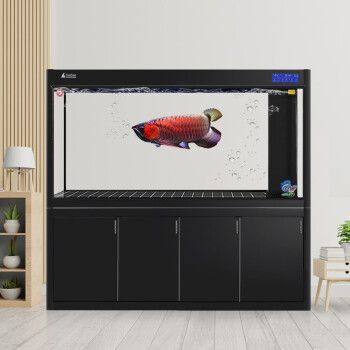 大型龍魚缸效果圖片大全欣賞