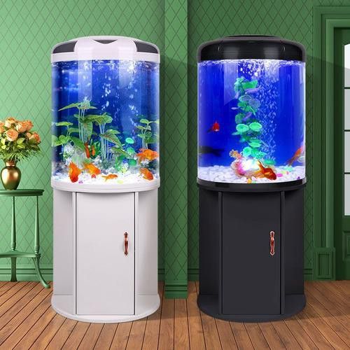 大型龍魚缸效果圖片大全欣賞