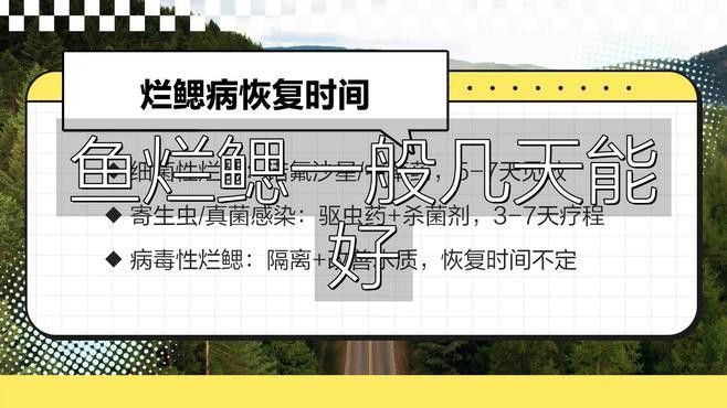 龍魚鰓蓋爛洞需要多久才能恢復？