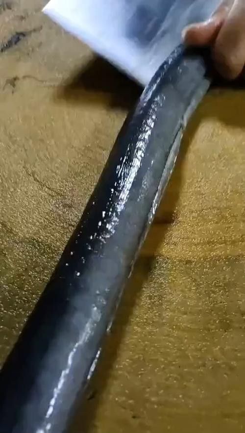 汕頭杜龍魚是什么魚種類圖片