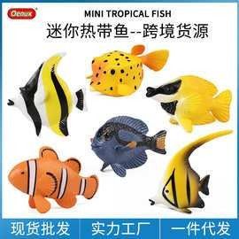 非洲黑龍魚多少錢一條