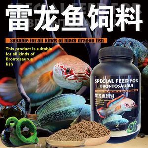 雷龍魚糧可以給其他魚吃嗎：雷龍魚糧適合哪些肉食性魚混養雷龍魚應注意哪些問題