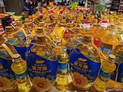 金龍魚國貨嗎？，金龍魚不是國貨而是外資品牌