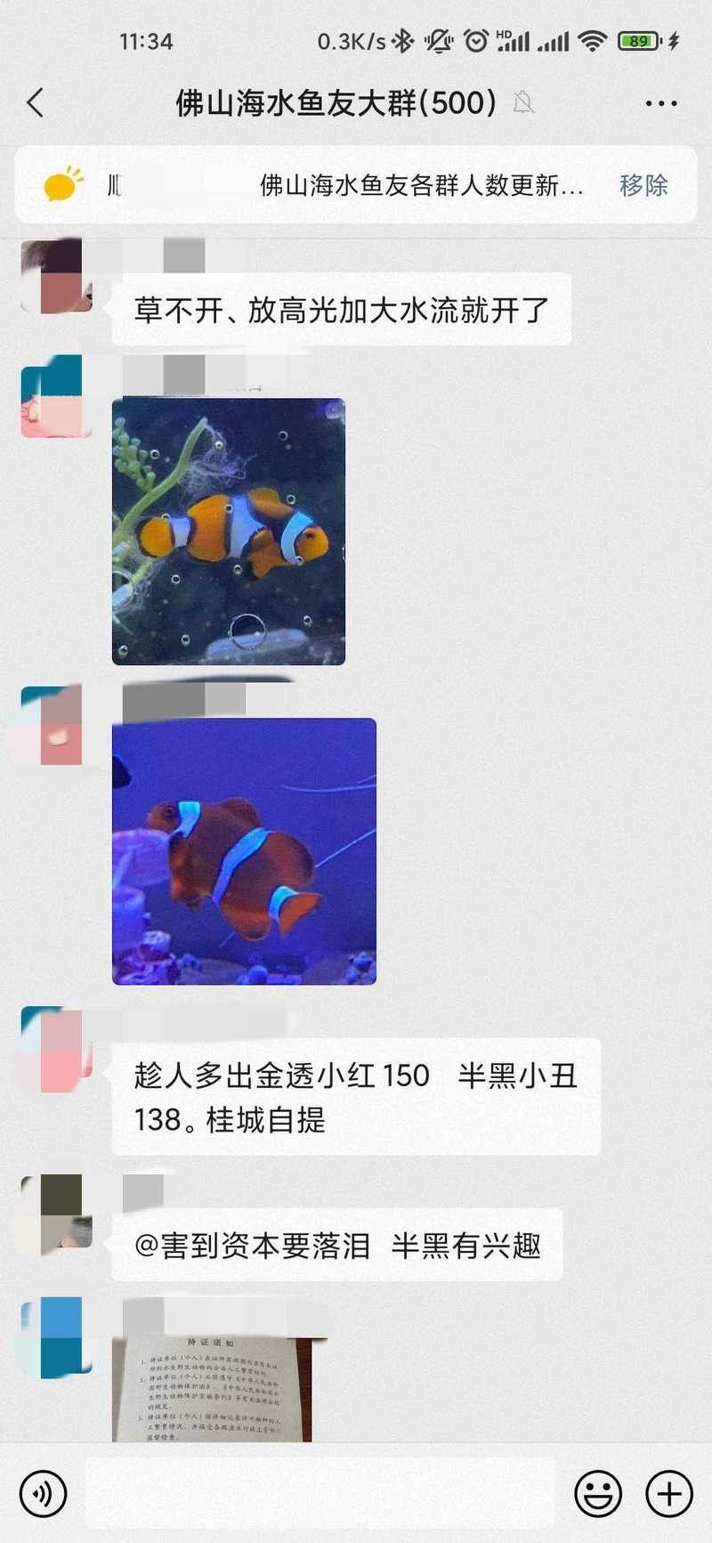 龍魚魚友微信群