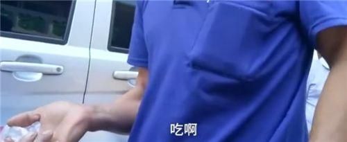 招財貓魚苗混養食物選擇：招財貓魚苗的食物選擇 招財貓魚苗混養食物選擇：招財貓魚苗的食物選擇 龍魚百科 第5張