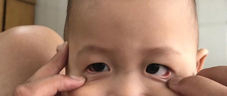 魚缸養魚的幽默句子搞笑說說，養魚新手常見誤區解析