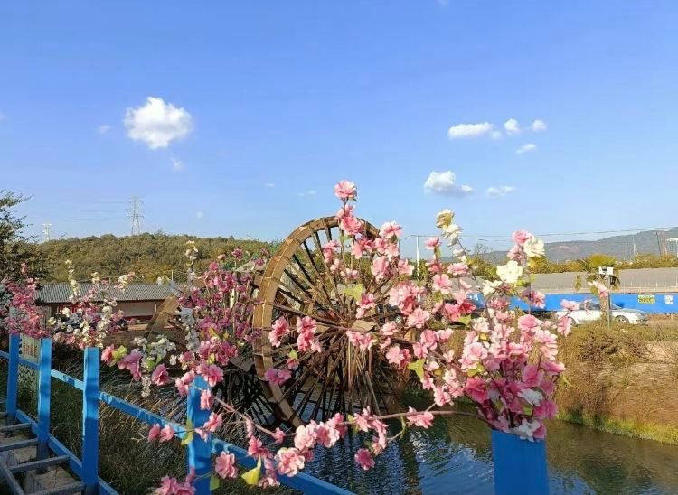 昆明龍魚祥龍魚場地址在哪里呀