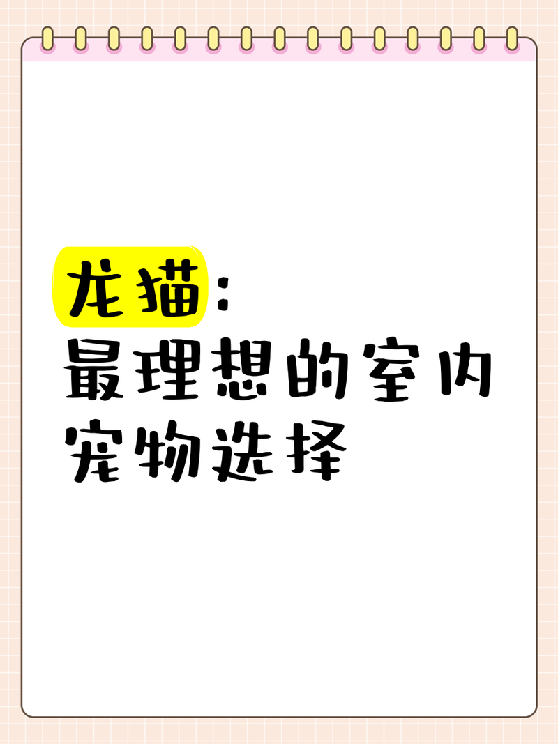 龍貓籠子多高合適？