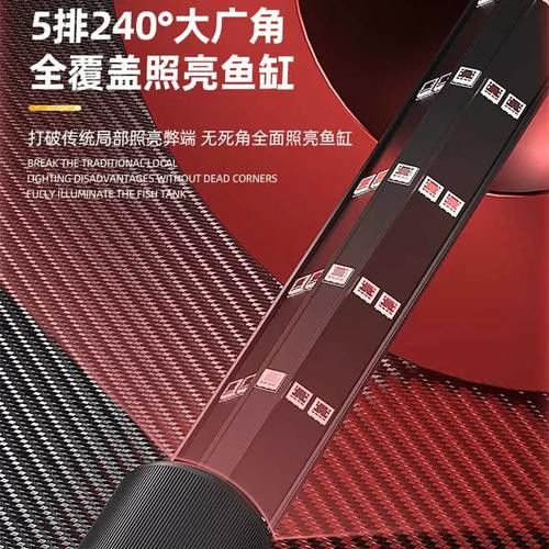 紅色雷龍魚用什么燈好養