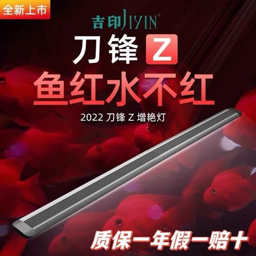 紅色雷龍魚用什么燈好養