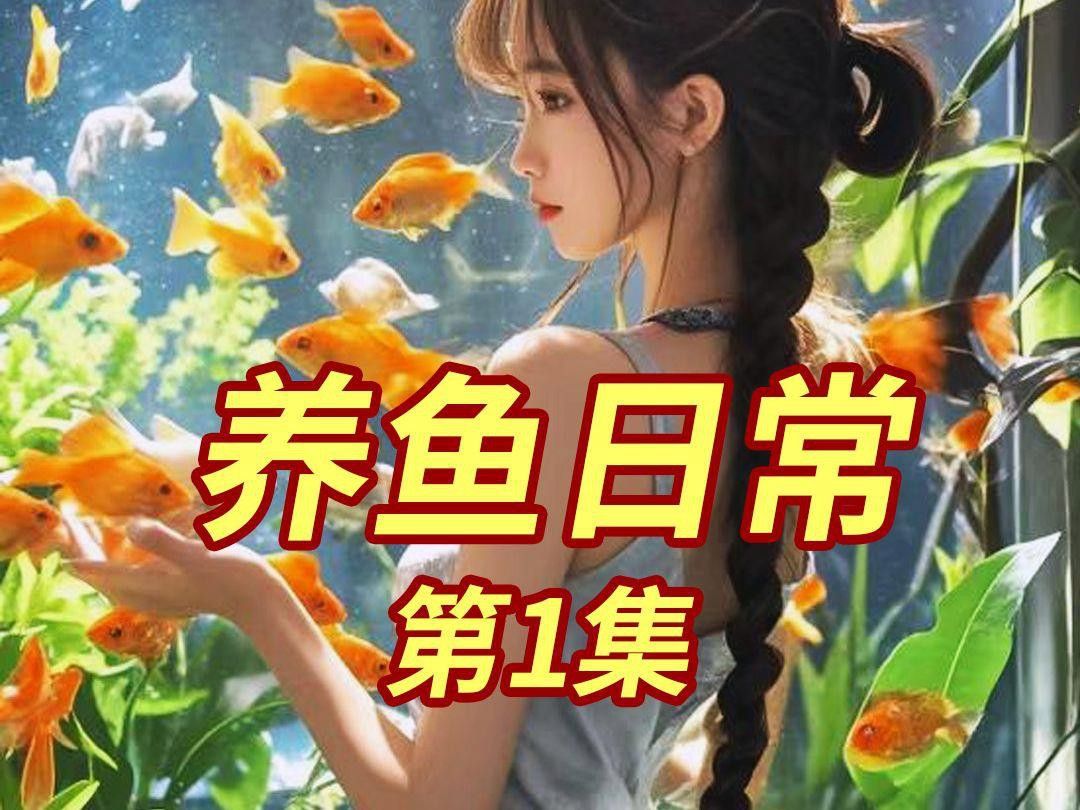 90cm缸適合養(yǎng)幾條魚？