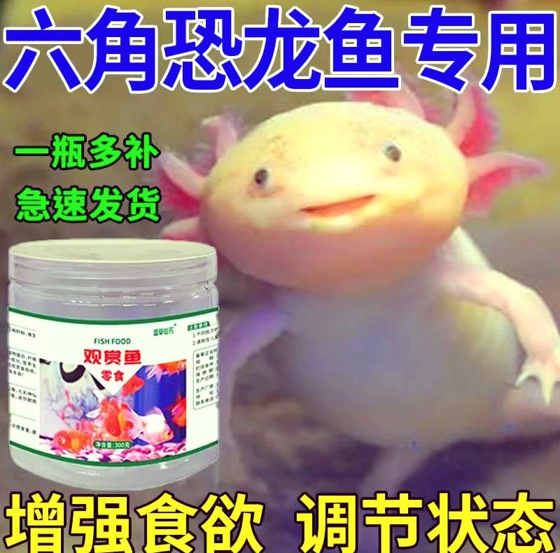 哪些食物適合六角恐龍？