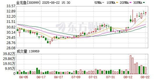 金龍魚項目融資模式