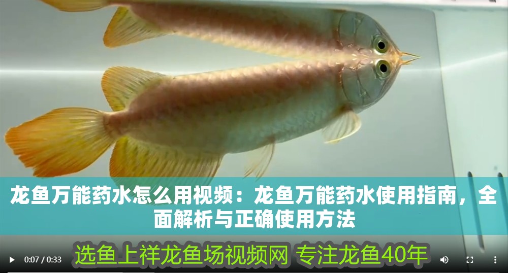 龍魚萬能藥水怎么用視頻：龍魚萬能藥水使用指南，全面解析與正確使用方法