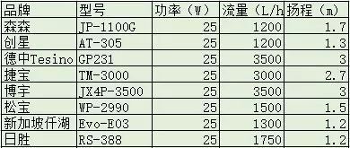 辣椒紅龍魚需要多大的過濾系統？
