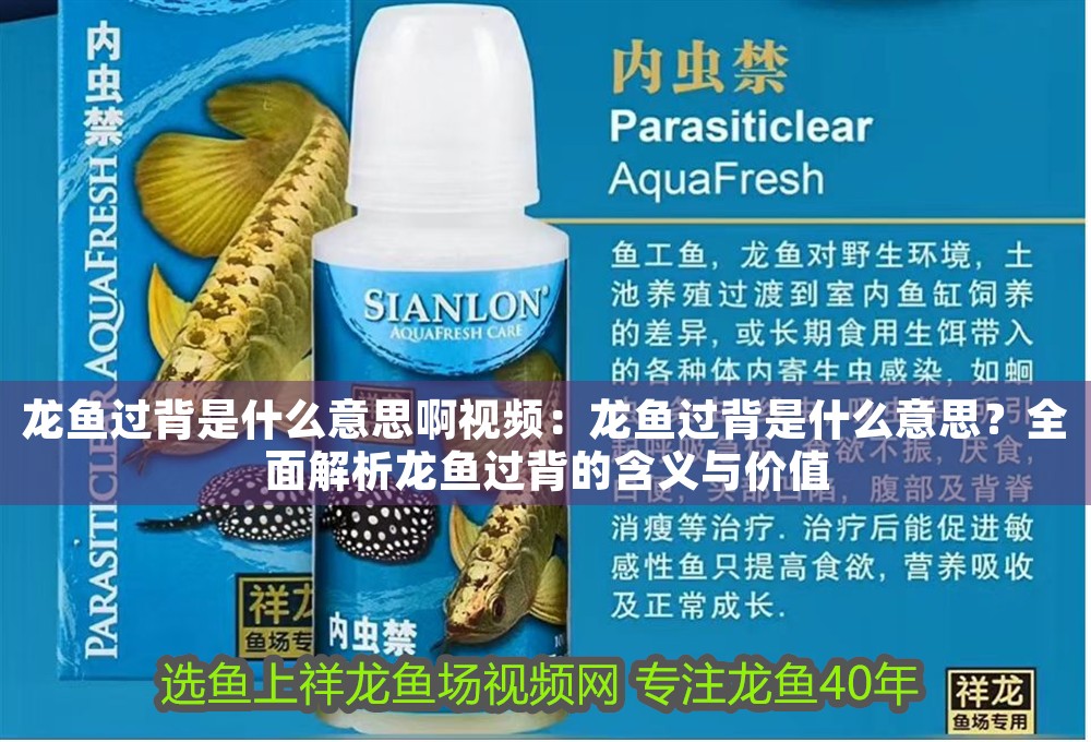 龍魚(yú)過(guò)背是什么意思啊視頻：龍魚(yú)過(guò)背是什么意思？全面解析龍魚(yú)過(guò)背的含義與價(jià)值