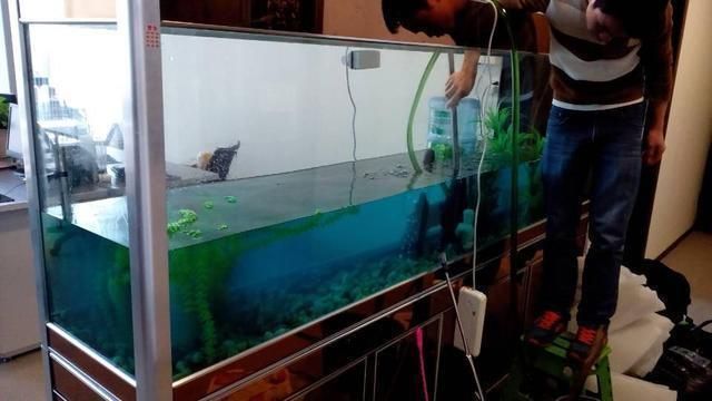 魚(yú)缸養(yǎng)魚(yú)不用換水嗎視頻（魚(yú)缸養(yǎng)魚(yú)需要定期換水嗎？）