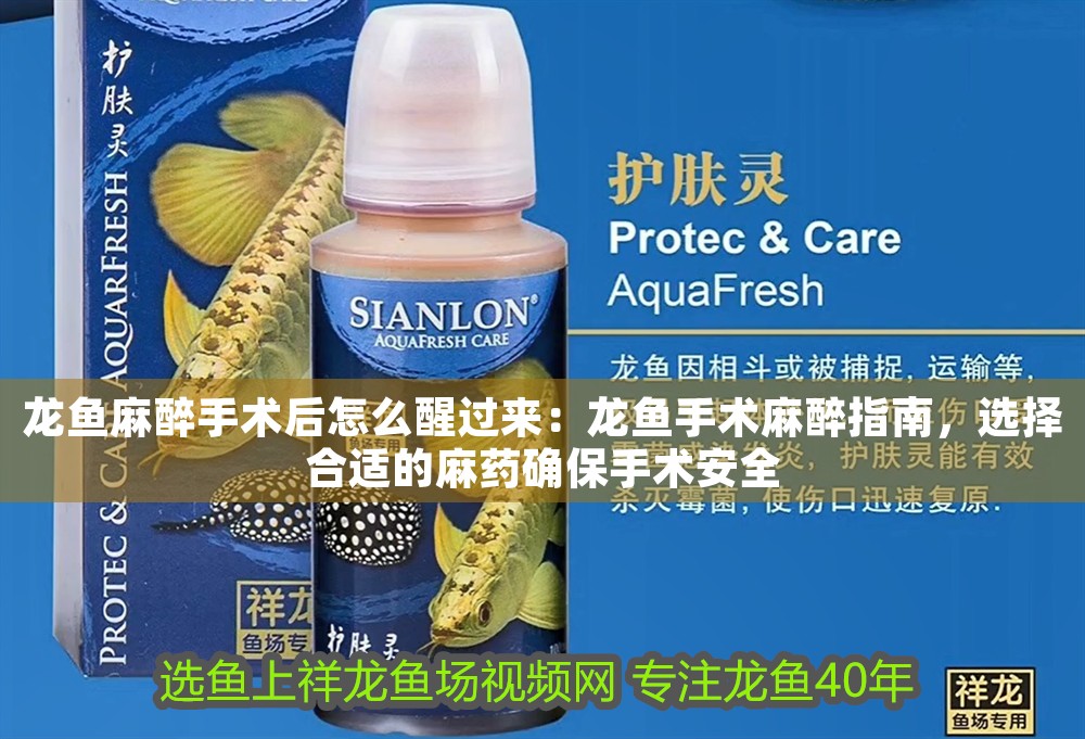 龍魚麻醉手術后怎么醒過來：龍魚手術麻醉指南，選擇合適的麻藥確保手術安全